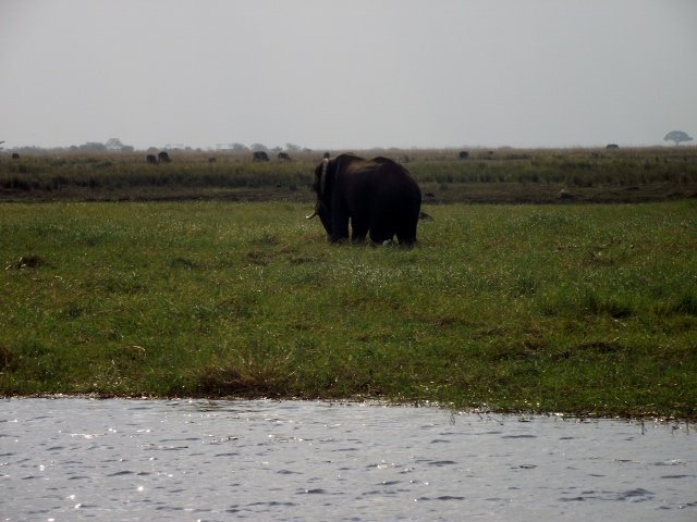 Botswana 018